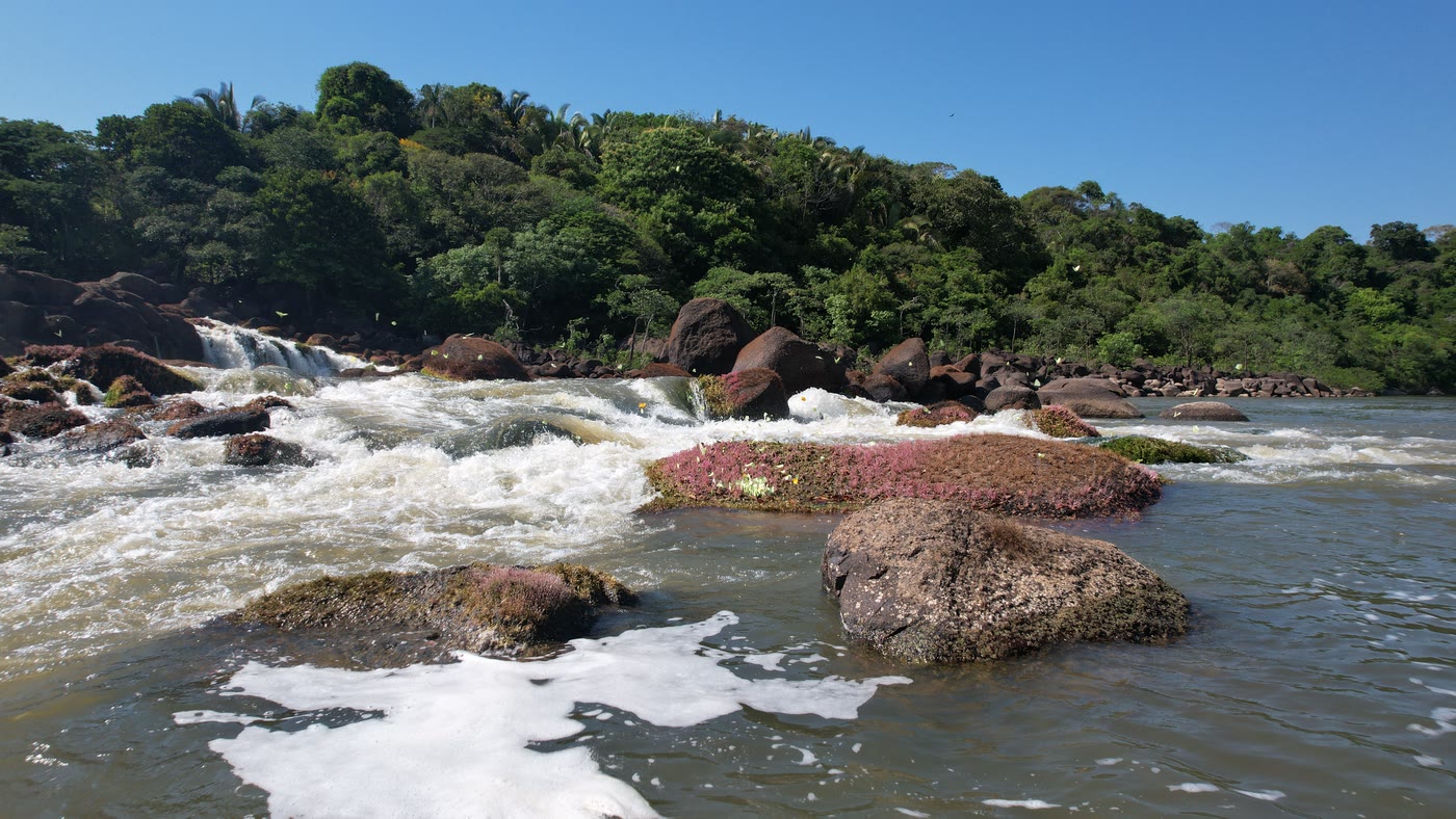 Vista aérea das corredeiras e cachoeira da floresta Manoa