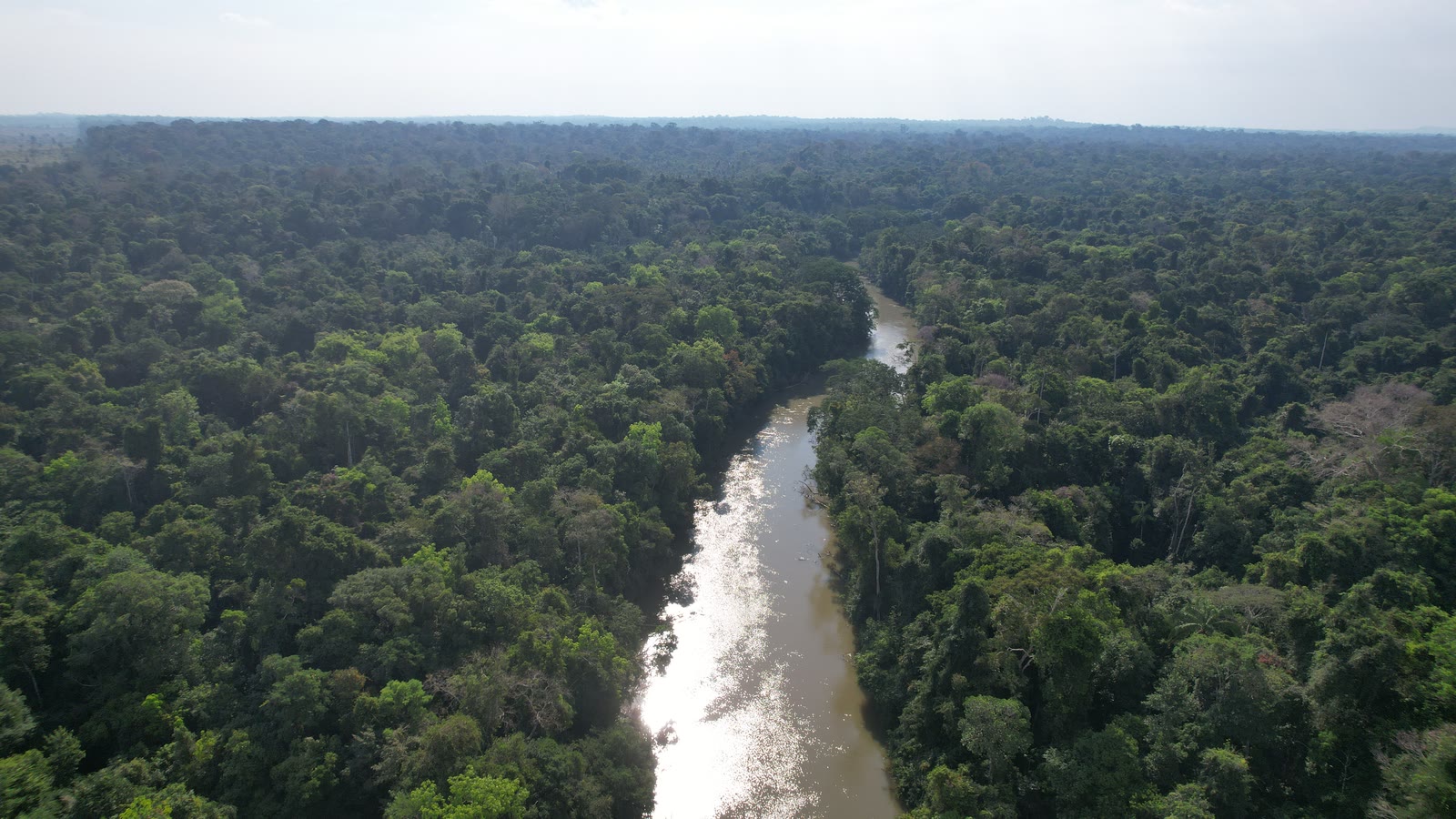 Vista aérea do rio atravessando o bloco florestal contínuo