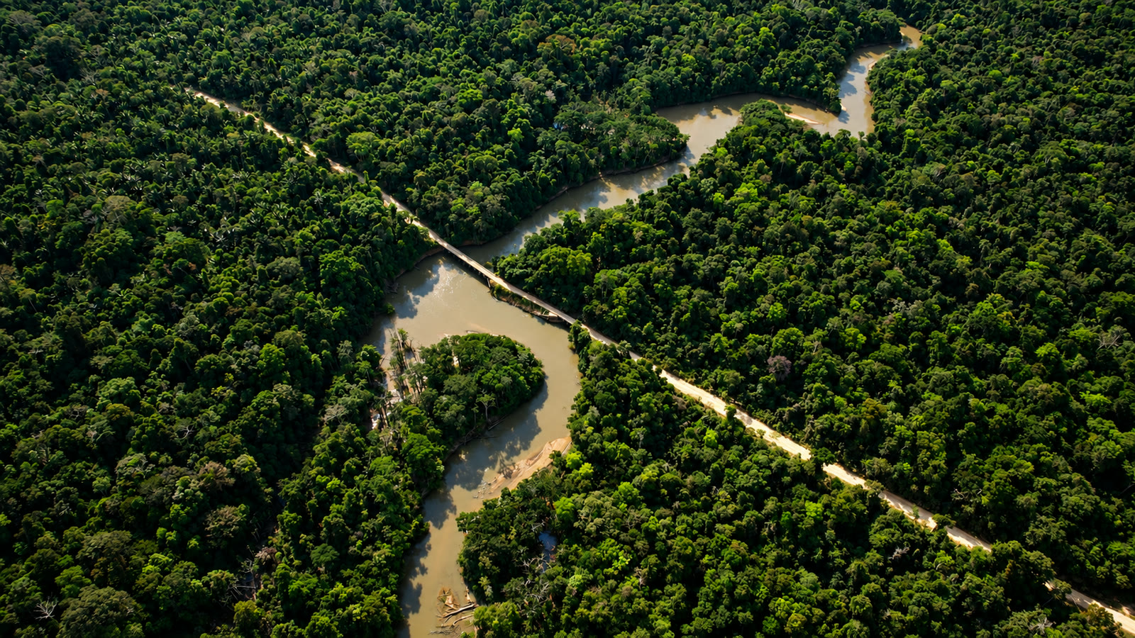 Meandros do rio e trilhas no meio da floresta amazônica