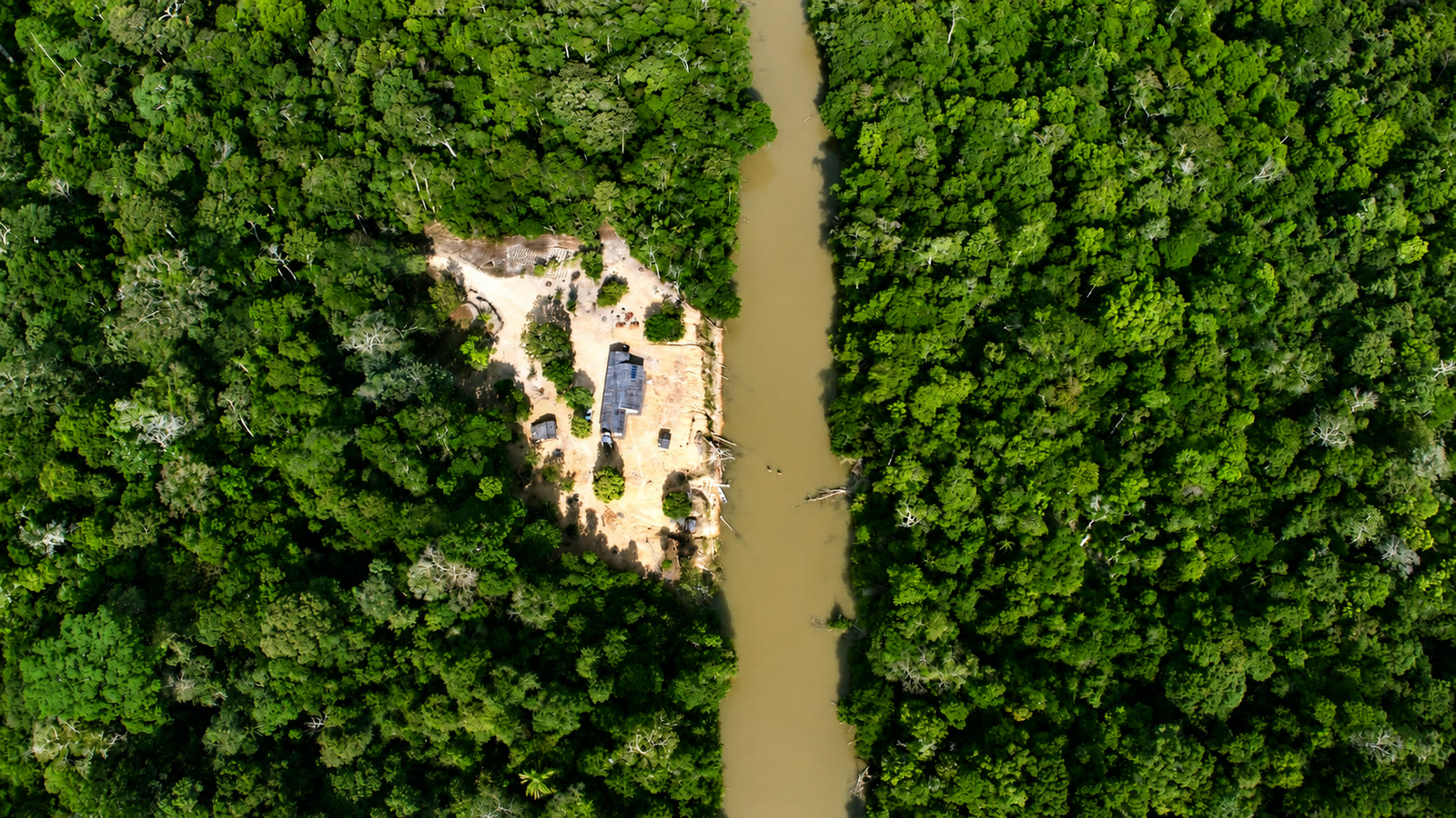 Vista aérea da reserva Manoa: a base às margens do rio em meio à floresta amazônica preservada