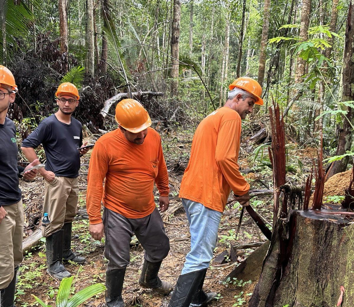 Equipe de manejo florestal da Manoa realizando inventário na floresta