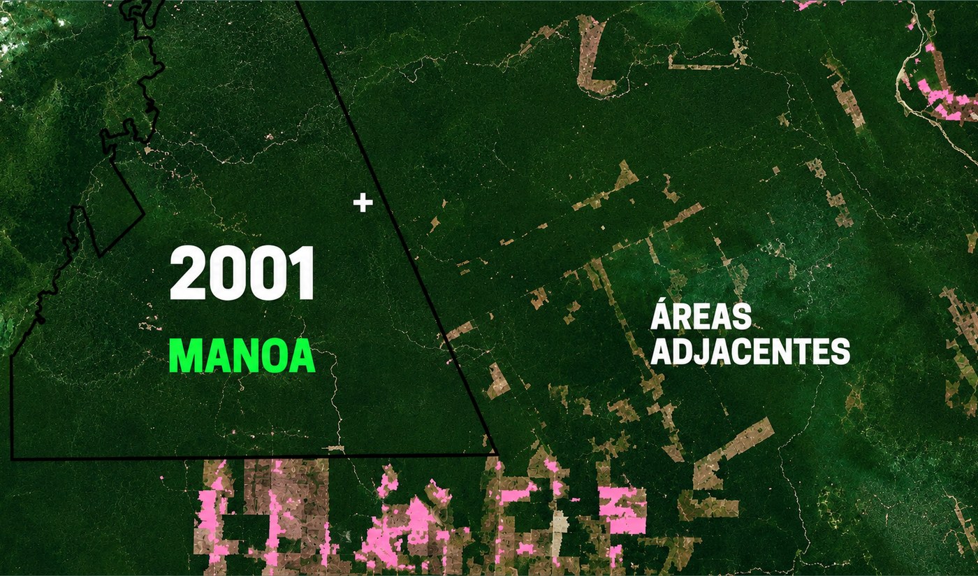 Manoa · 2001